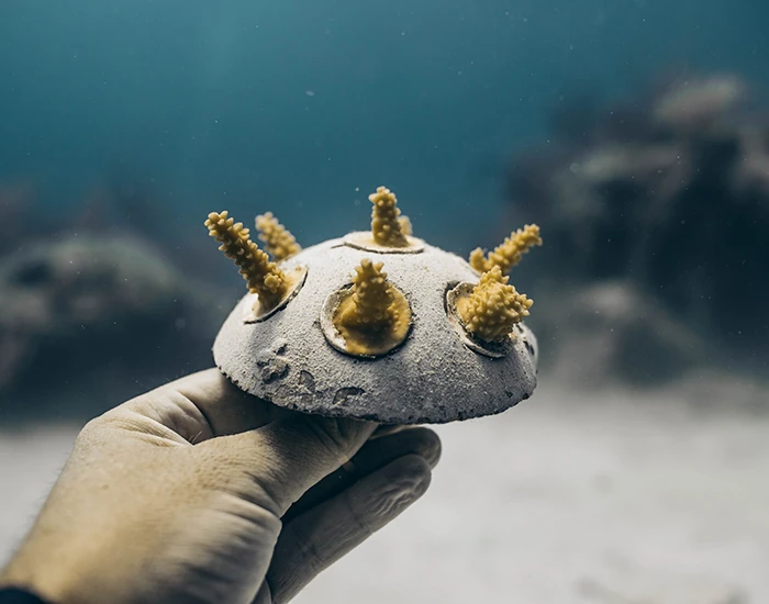 Revolutionary Ocean Heroes