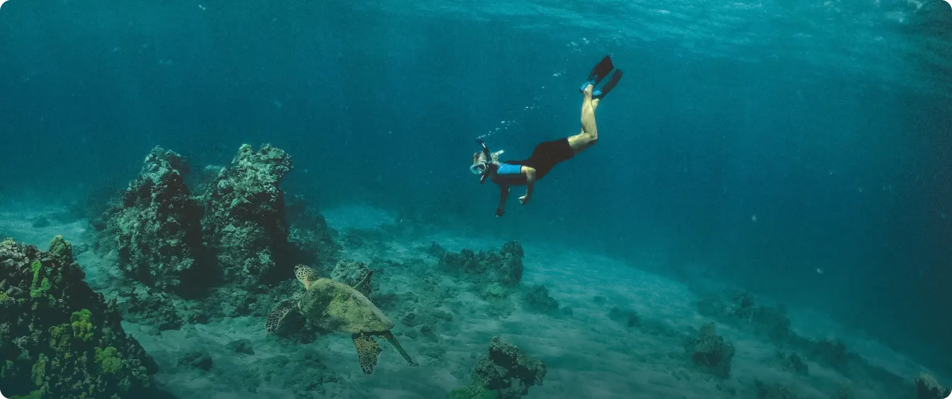 Diving Experience
