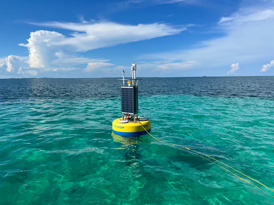 Water Quality in the Caribbean