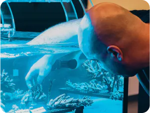 Visit the tanks