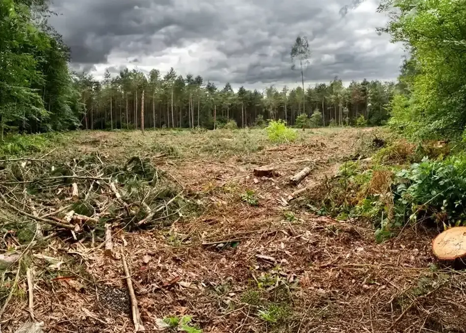 Climate Change: Reshaping Earth's Ecosystems