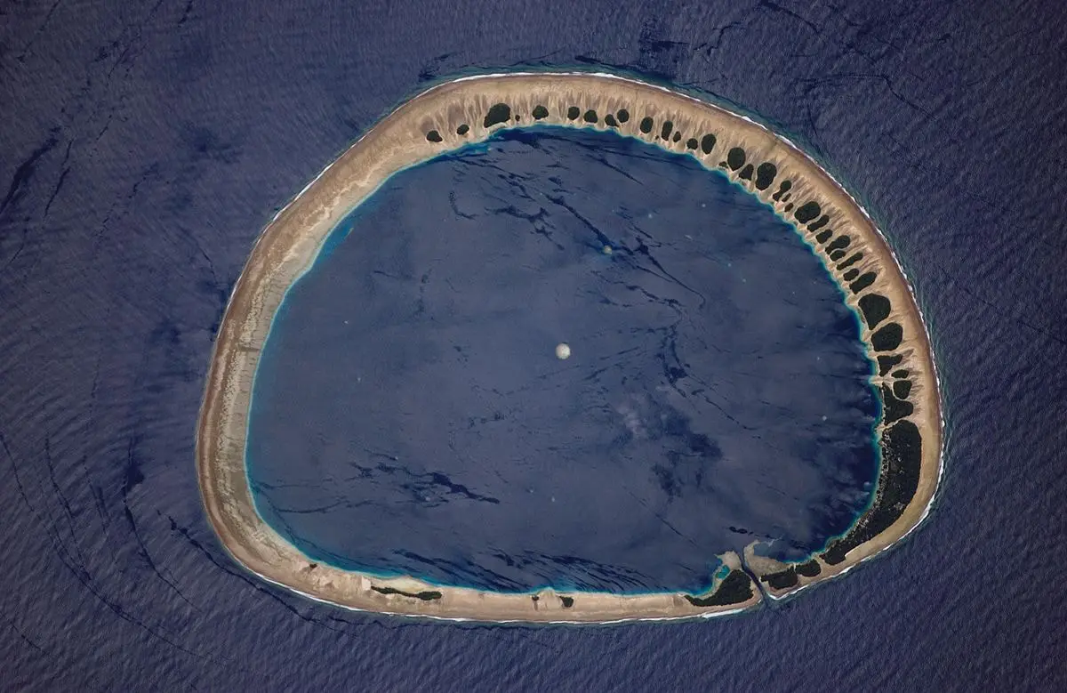 Perfect Circles: The Ring-Shaped Coral Structure