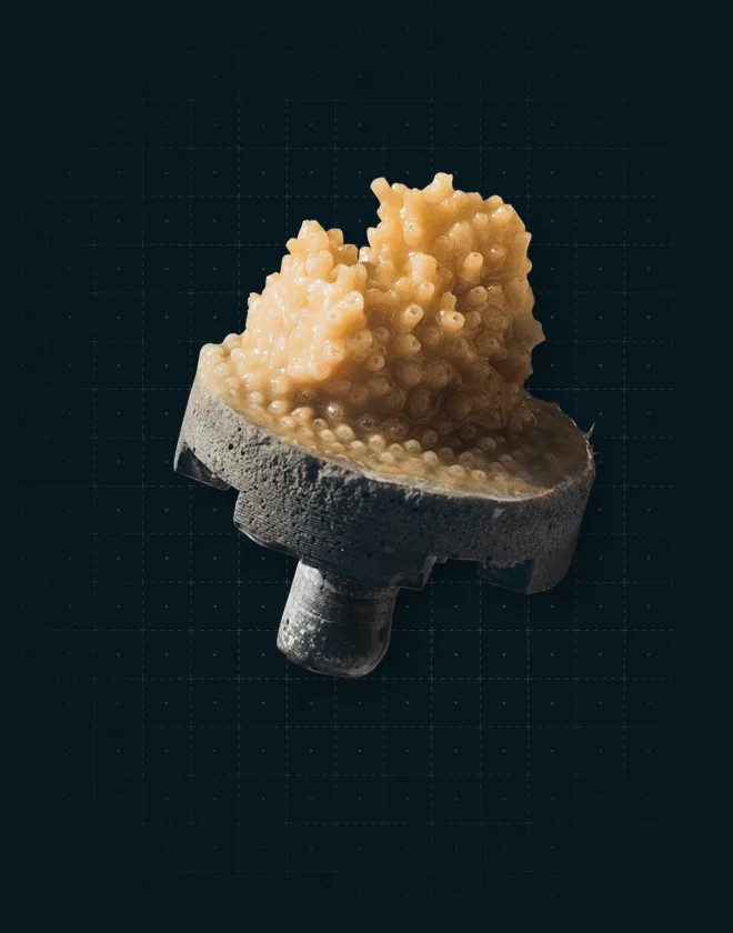 Microfragment