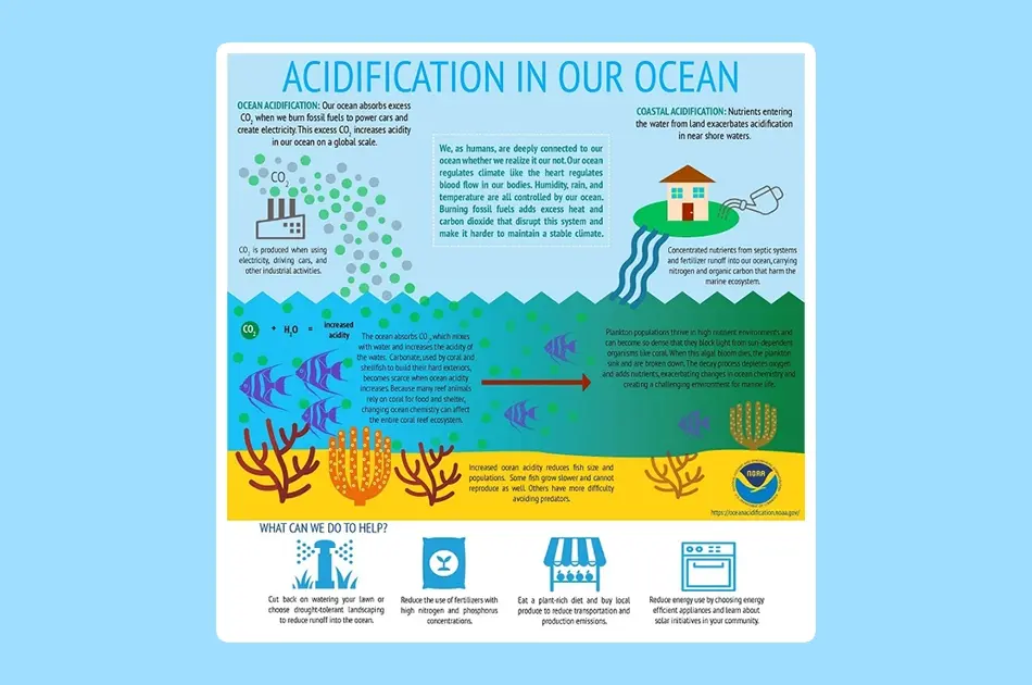 Ocean Chemistry Under Siege