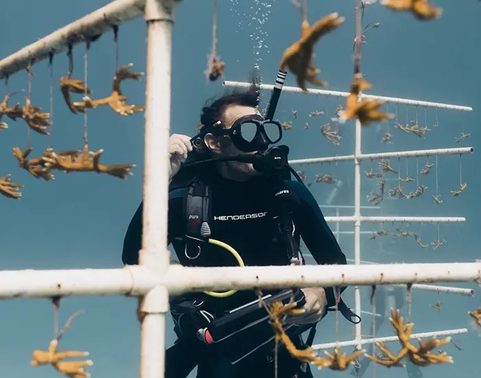 Racing Against the Heat: How Coral Vita Became a Lifeline for Coral During Record Ocean Temperatures