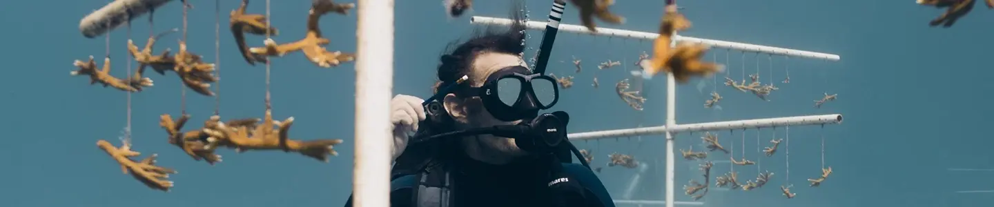 Racing Against the Heat: How Coral Vita Became a Lifeline for Coral During Record Ocean Temperatures