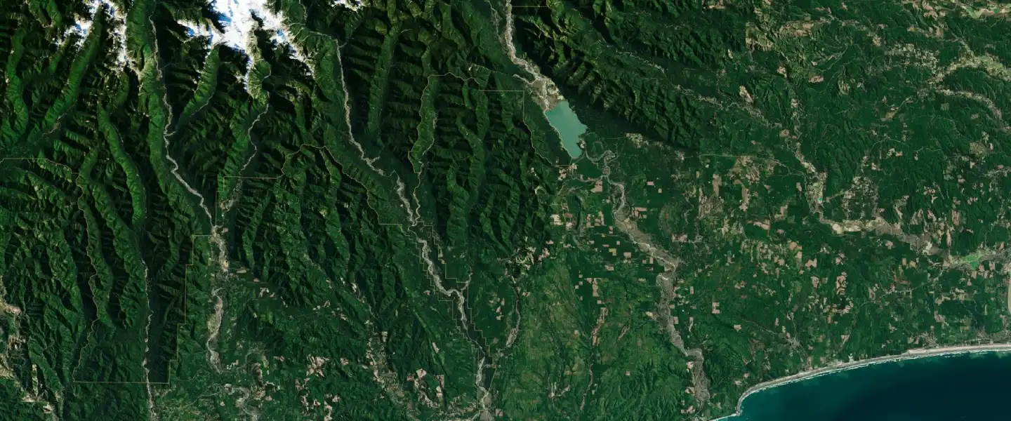 What Is a Biodiversity Hotspot? Critical Areas for Conservation