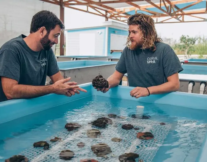 Coral Vita Featured in Success Magazine: Pioneering Ocean Restoration Through Innovation
