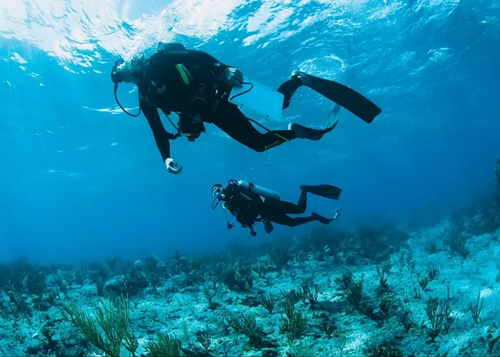 Coral Vita Featured by UNESCO: Pioneering Coral Reef Restoration Technology