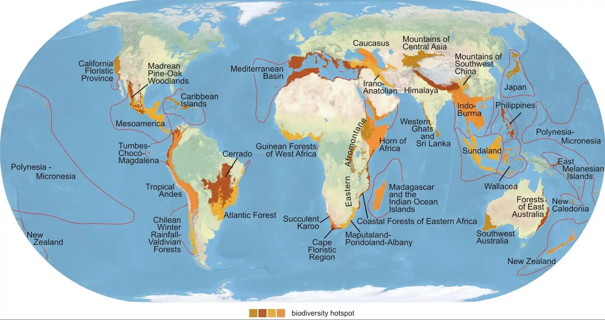 The World's Biodiversity Hotspots