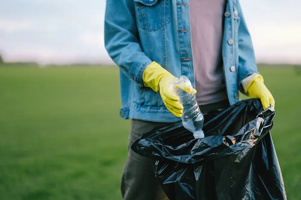 Environmental Benefits and Conservation Efforts