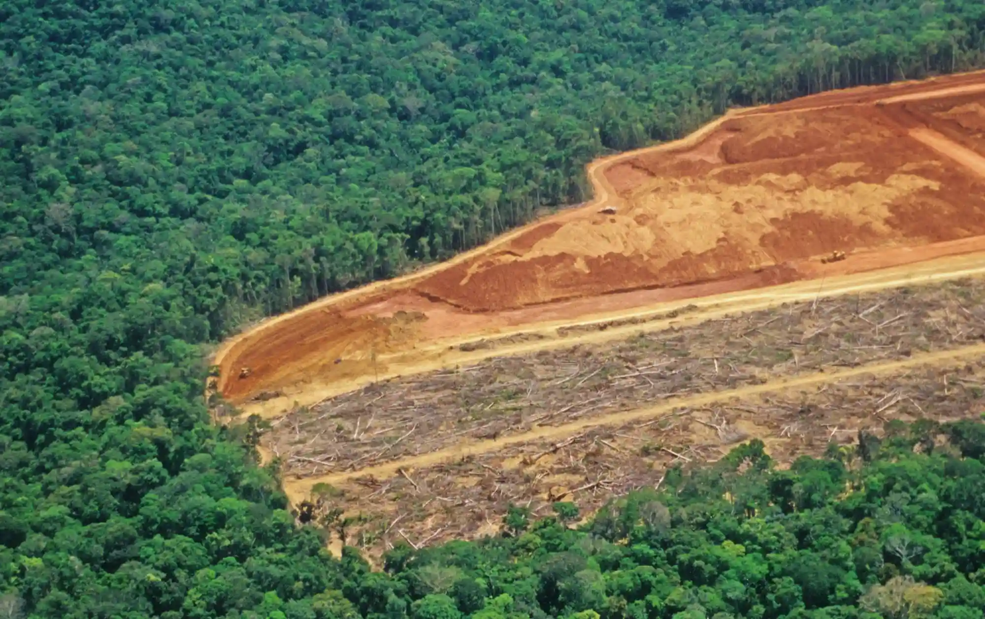 Major Threats to Biodiversity Hotspots