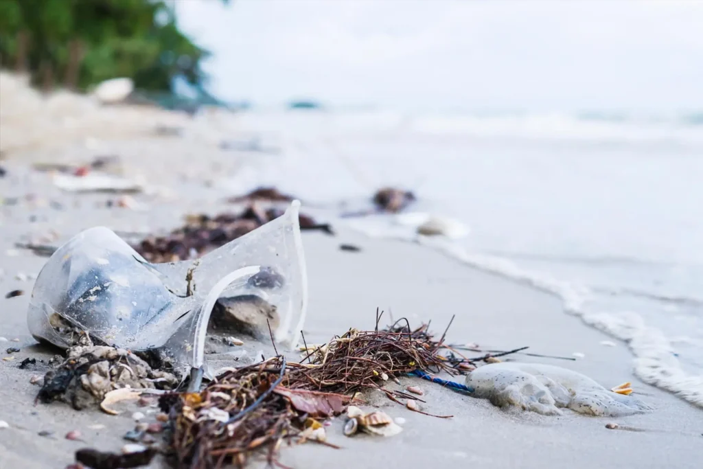 Understanding the Challenges Facing These Vital Ecosystems