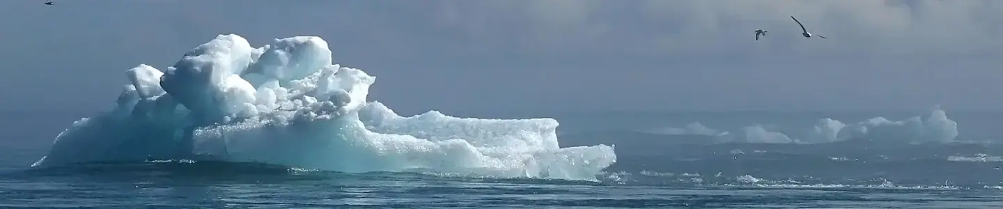 A lone iceberg drifts in the open sea, with seabirds flying above and moody clouds overhead, symbolizing the challenges and resilience needed for climate adaptation in a changing world.