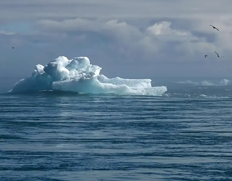 A lone iceberg drifts in the open sea, with seabirds flying above and moody clouds overhead, symbolizing the challenges and resilience needed for climate adaptation in a changing world.