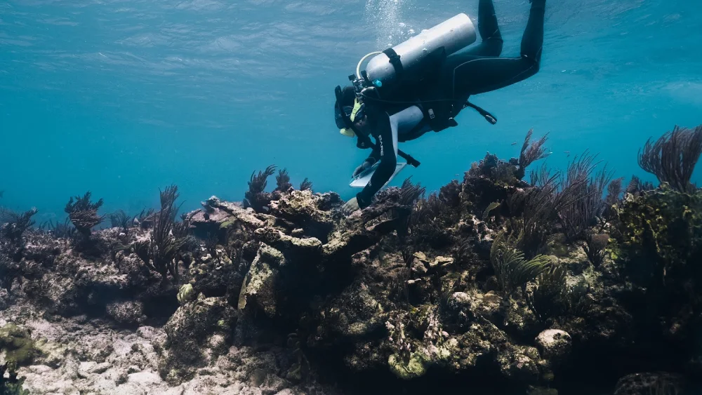 Conservation and Restoration of Coral Reefs