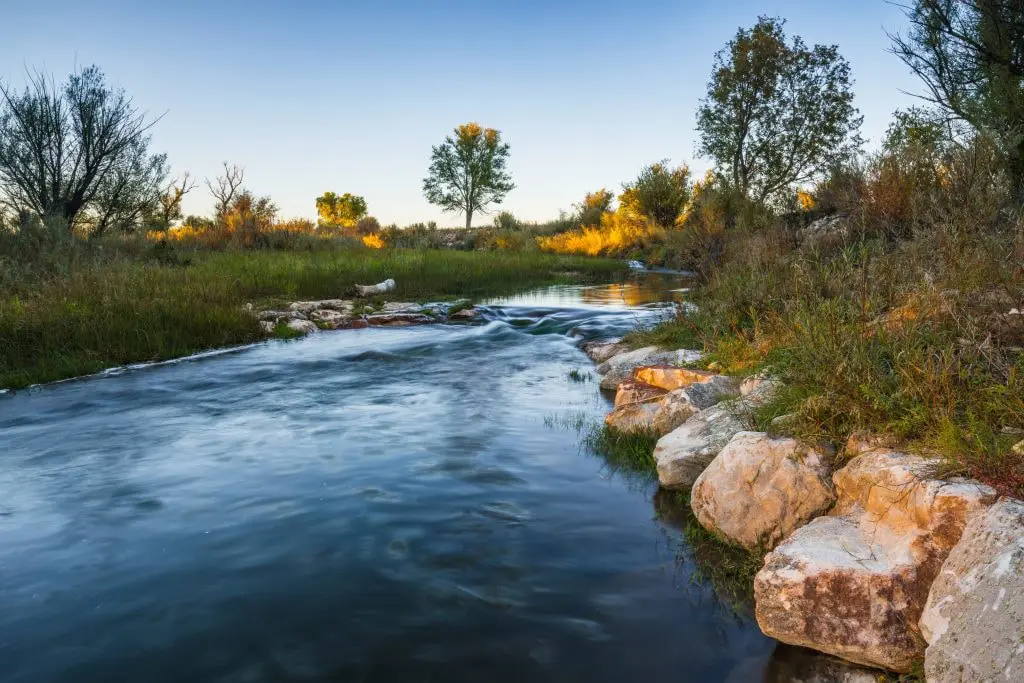 A gently flowing stream meanders through a green landscape, bordered by rocks and lush vegetation, representing the vitality and importance of protecting freshwater ecosystems and their biodiversity.
