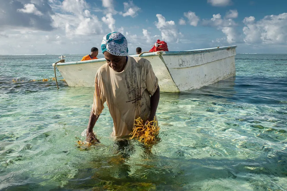 Ocean Farmers