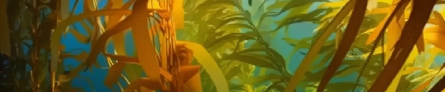 Regenerative Ocean Farming Transforming Our Seas for a Sustainable Future