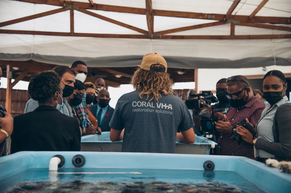 Restore Reefs Through Community Engagement
