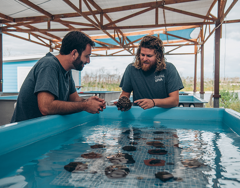 A Model for Marine Innovation