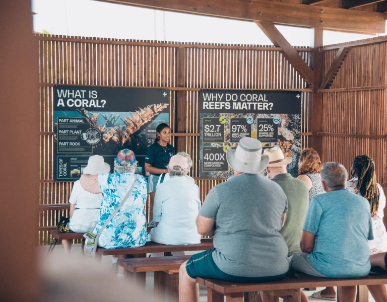 A group attends an educational talk about coral reefs, highlighting community efforts to build climate resilience and protect vital ecosystems.