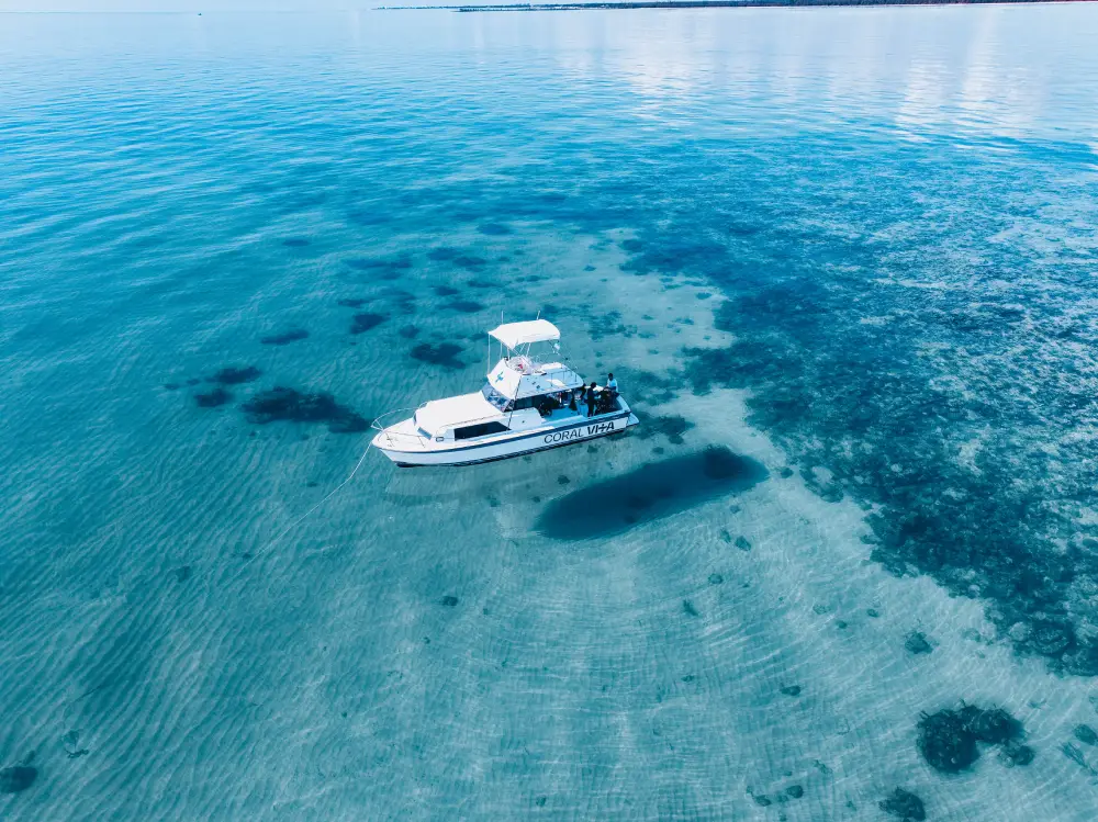 Boat over coral reef waters symbolizing market dynamics in impact investing for ocean conservation.