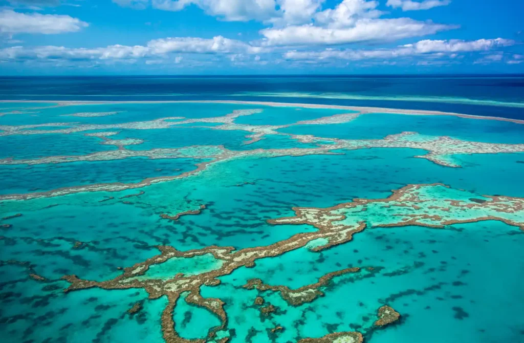 Highly Protected Marine Areas The Gold Standard