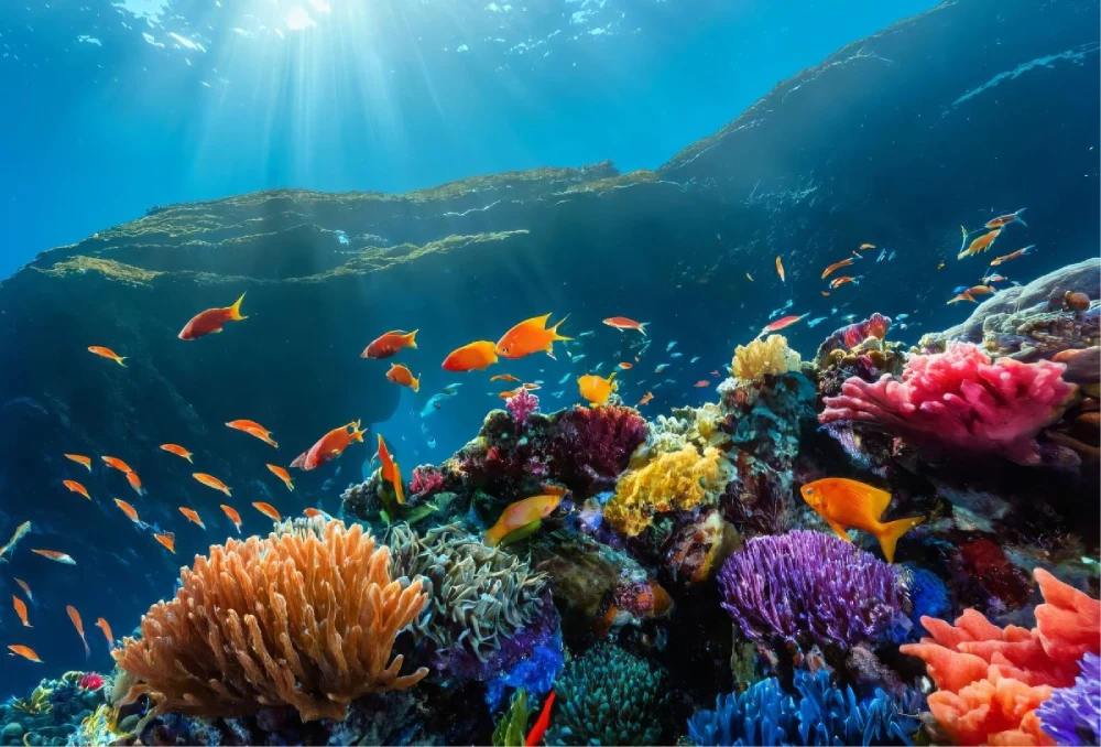 How debt instruments and new investments are protecting the ocean economy