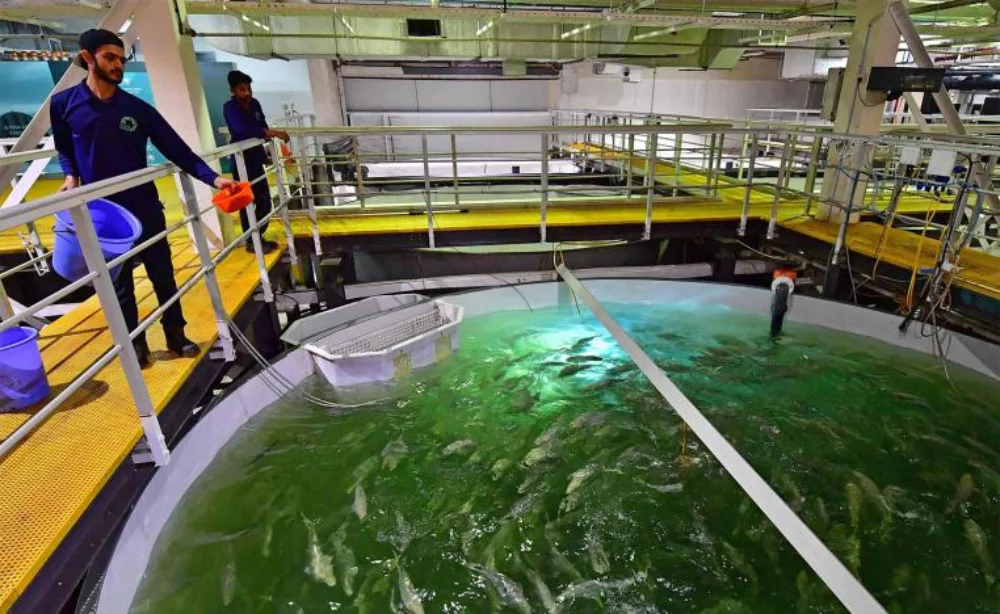 Innovative Technologies Driving Ocean Restoration