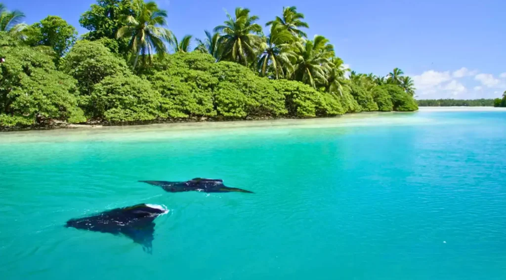 Pacific Marine Heritage Areas