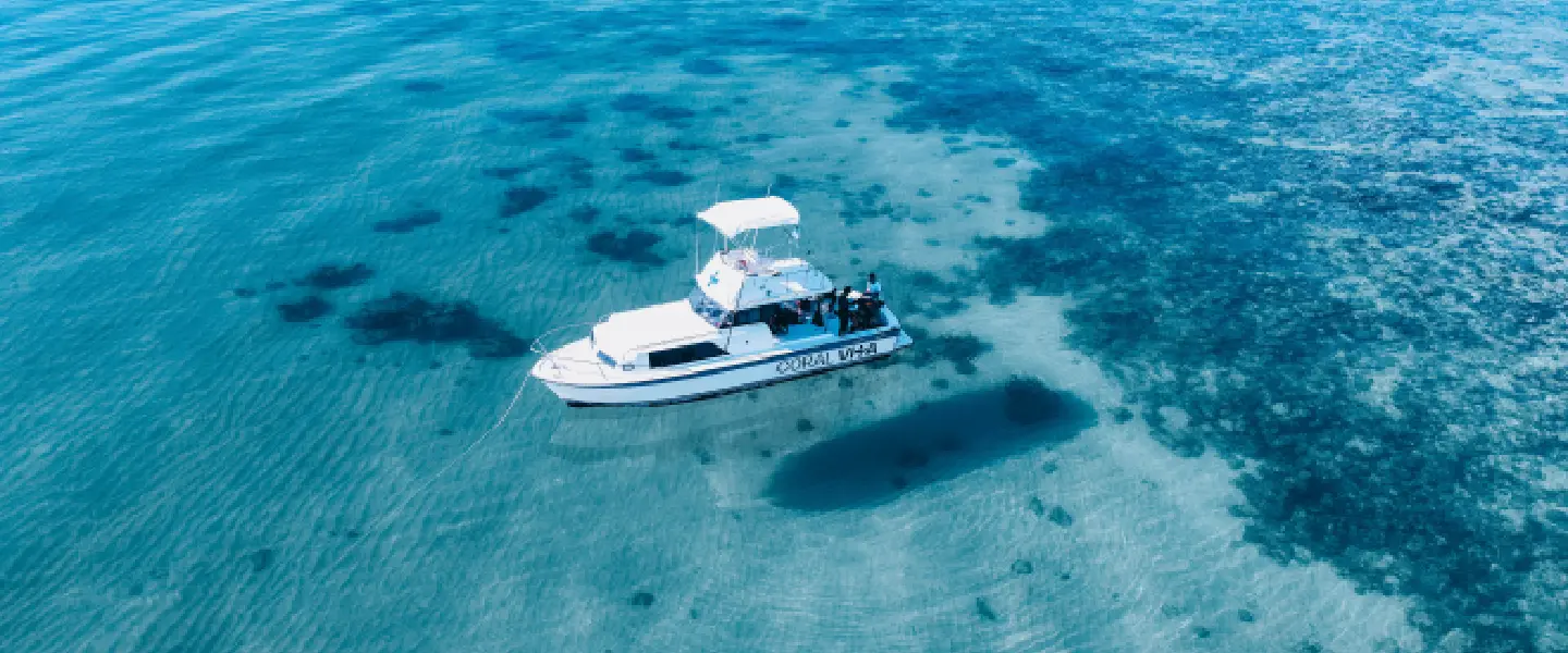 Regenerative Blue Economy