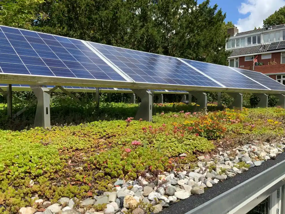 The Power of Green Infrastructure