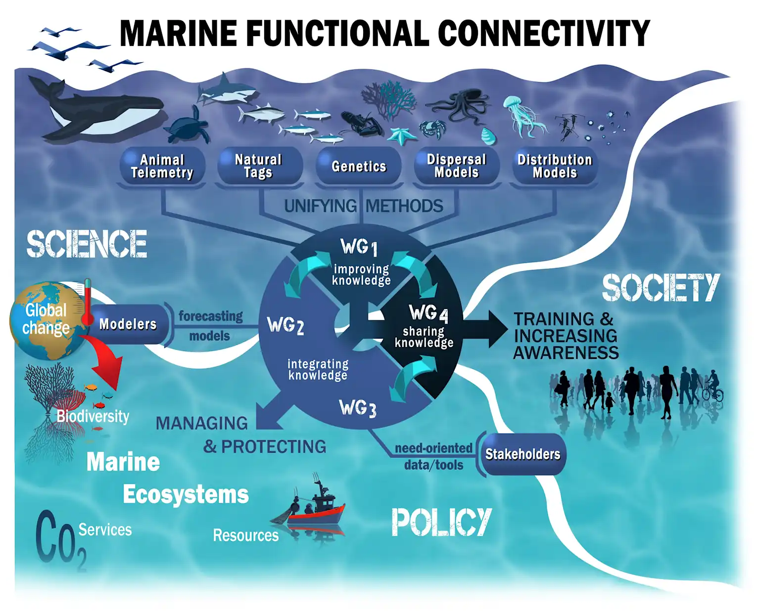 Understanding the Regenerative Blue Economy Framework