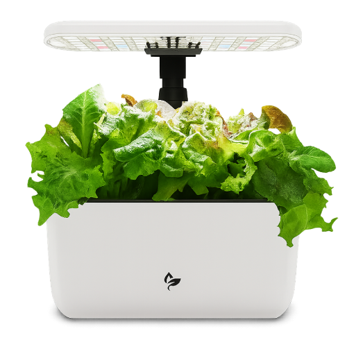 Organic Indoor Herb Garden Kit