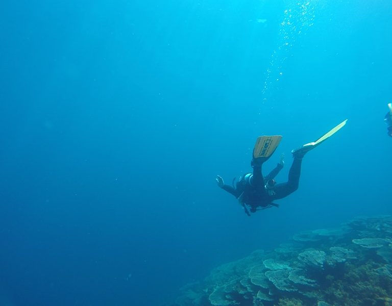 What Is Eco Friendly A Complete Guide to Sustainable Living and Environmental Choices