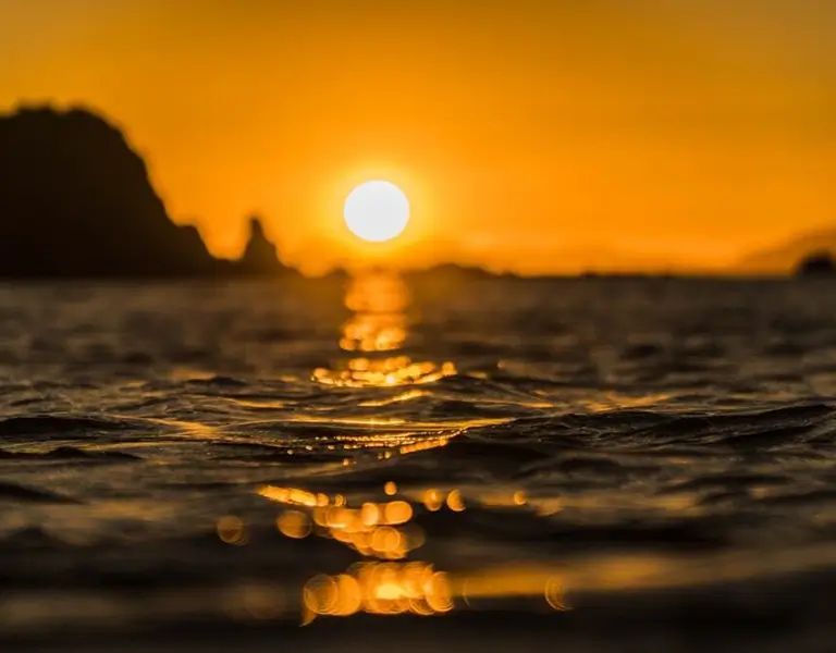 Understanding the Difference Between Eco Friendly and Sustainable Living