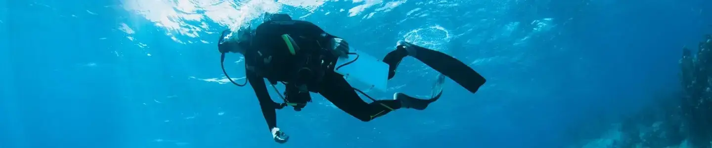 Save the Ocean_ Adopt a Coral Today to Help the Cause