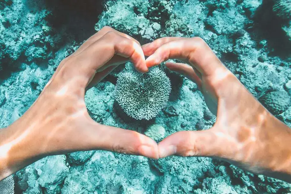 Your Role in Ocean Conservation 