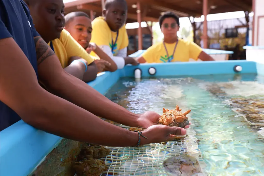 Coral Reefs Important to Economies and New Medicines 