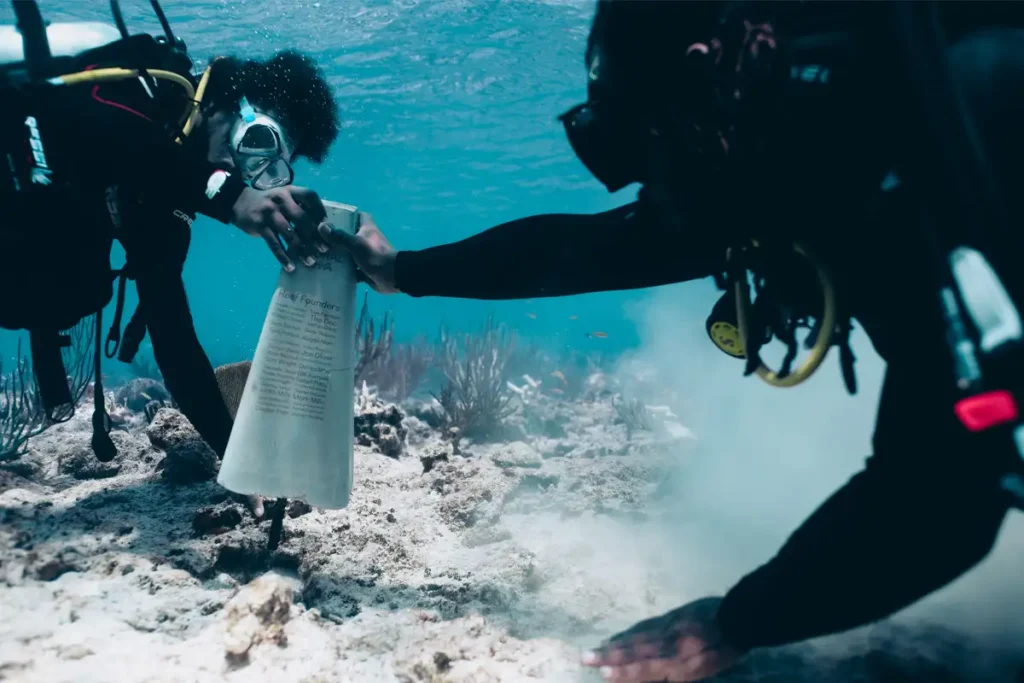 How Coral Vita Is Restoring Coral Reefs