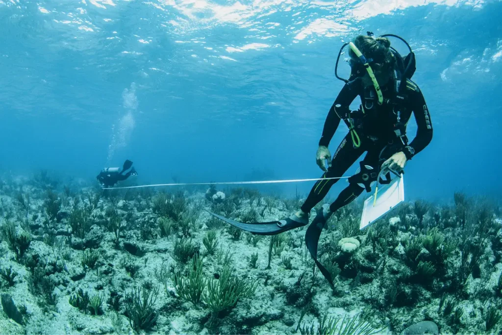 The Science Behind Marine Conservation What Marine Biologists and Researchers Do