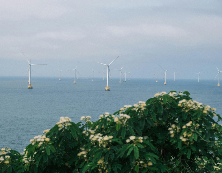 11 Climate Change Solutions That Are Actually Making an Impact in 2026