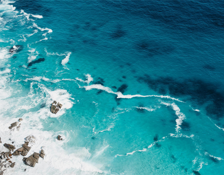 Ocean Conservation Efforts That Are Rebuilding Marine Ecosystems Worldwide