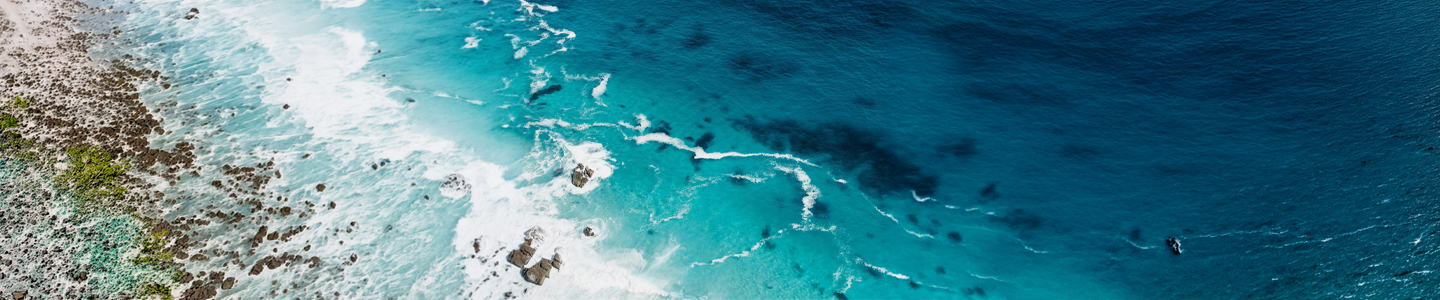 Ocean Conservation Efforts That Are Rebuilding Marine Ecosystems Worldwide