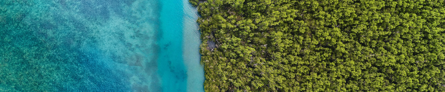 The Climate Tech Companies Leading Environmental Innovation in 2026