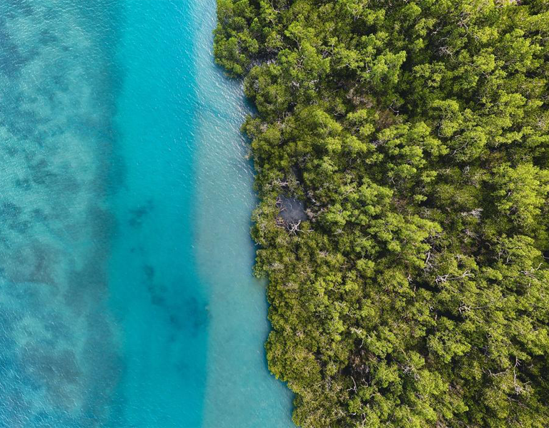 The Climate Tech Companies Leading Environmental Innovation in 2026