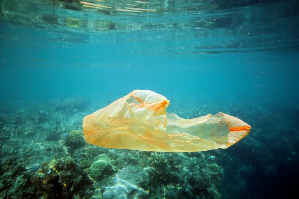 How Pollution Compounds Every Threat Coral Reefs Already Face
