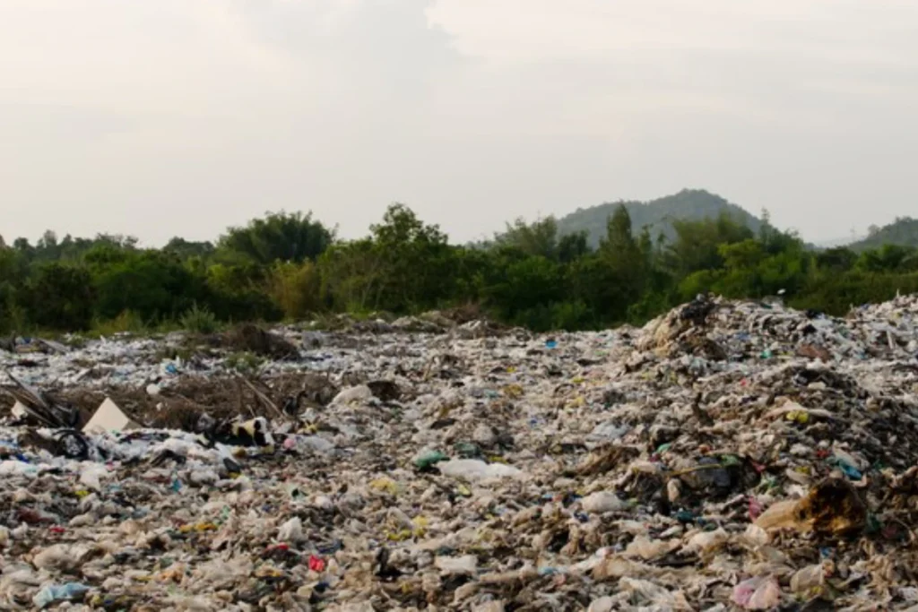 Land-Based Sources: Where Most of the Damage Starts
