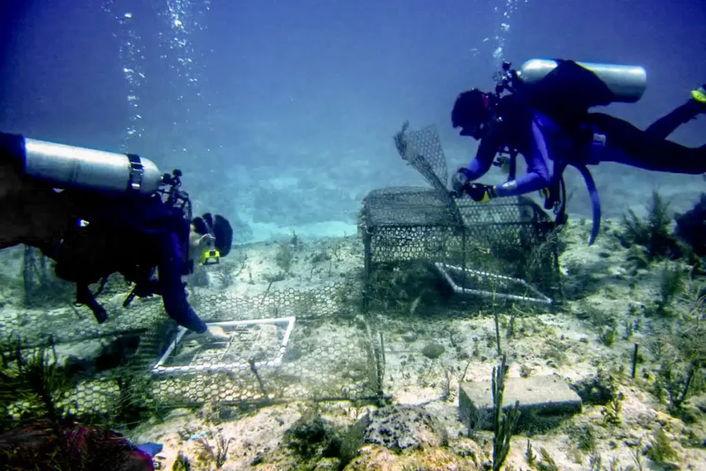 Overfishing_ A Threat Hidden in Plain Sight